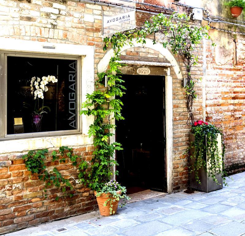 Avogaria 5 Venecia