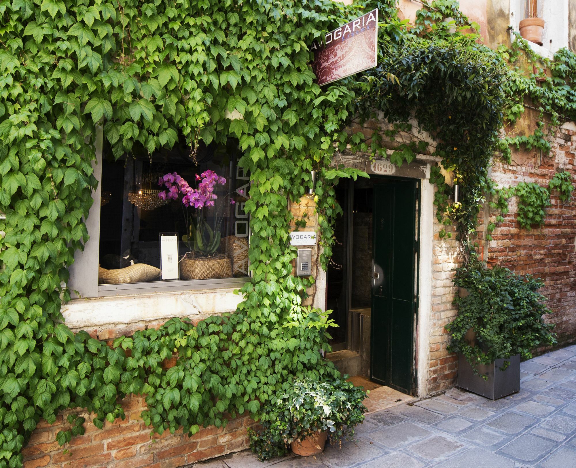 Affittacamere Avogaria 5 Venezia